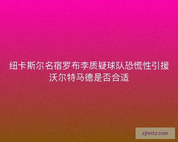 纽卡斯尔名宿罗布李质疑球队恐慌性引援沃尔特马德是否合适