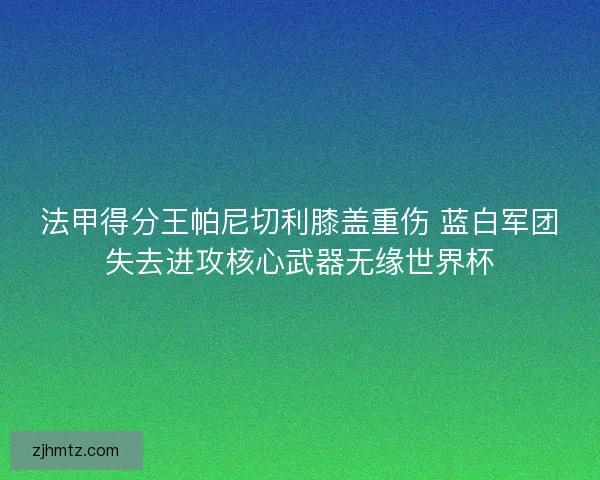法甲得分王帕尼切利膝盖重伤 蓝白军团失去进攻核心武器无缘世界杯 法甲得分王帕尼切利膝盖重伤 蓝白军团失去进攻核心武器无缘世界杯